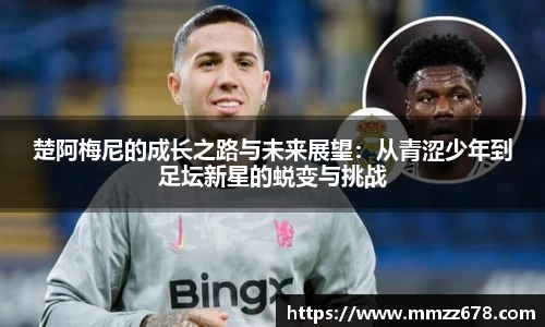 AC米兰体育官网入口