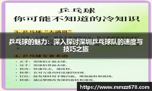 乒乓球的魅力：深入探讨深圳乒乓球队的速度与技巧之旅